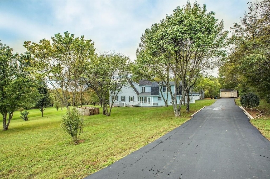 Rolling green land and the tree-lined drive