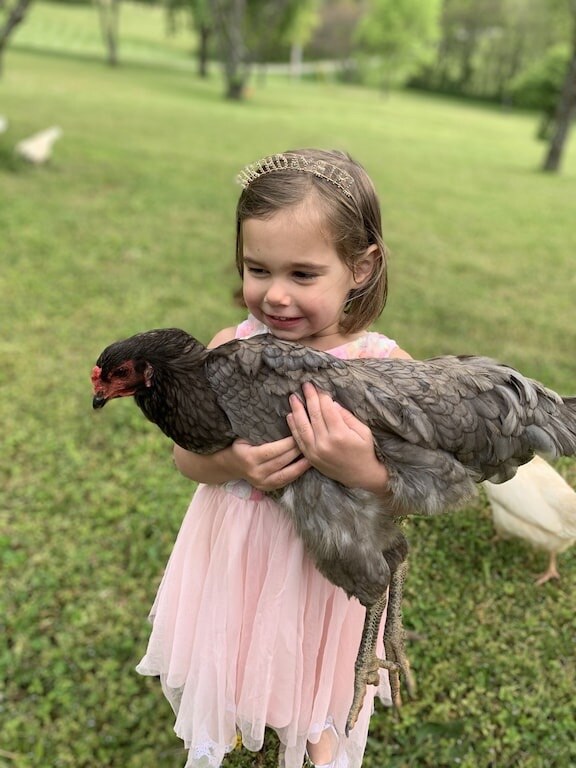 A young guest in a birthday tiara cradling one of the hens