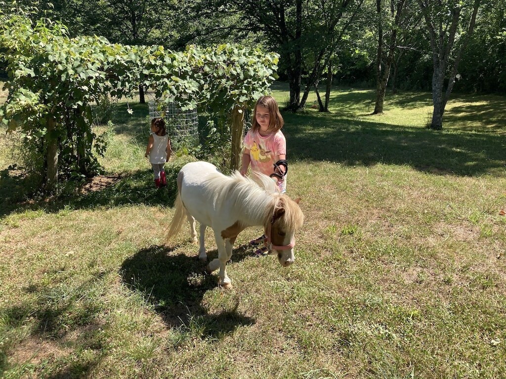 Children walking the friendly miniature horse through the yard